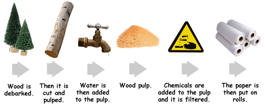 The stages involved in making paper 