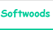 Softwoods